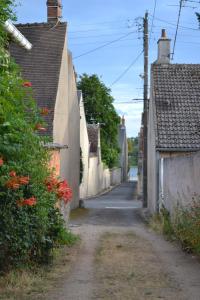 an alley in a village with houses and flowers at Gîte du Port in Châteauneuf-sur-Loire