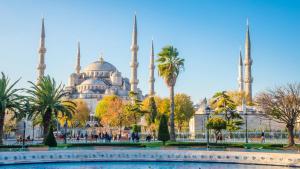 a view of the blue mosque in istanbul with palm trees at Istanbul Old City Sultanahmed Miran Hotel in Istanbul