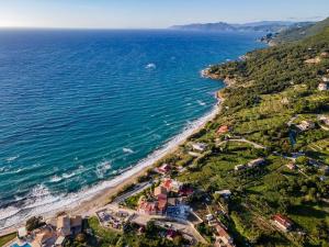 an aerial view of a beach and the ocean at 2-BR Apartment by the Sea in Paramonas