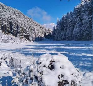 a snow covered river with trees and a mountain at Sunset Homestay in Sainj