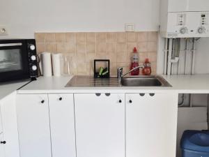 a kitchen counter with a sink and a microwave at Le lumineux-T2 calme-animaux acceptés-place auto in Saint-Gaudens