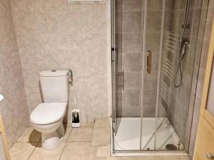a bathroom with a toilet and a shower at Le lumineux-T2 calme-animaux acceptés-place auto in Saint-Gaudens