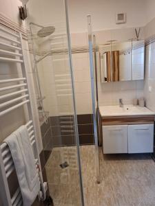 a bathroom with a shower and a sink at Ferienwohnung Wagner in Stegersbach