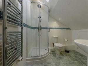 a bathroom with a shower and a toilet and a sink at 4 Bed in Llandysul oc-89422 in Cwm-pengraig +32 photos