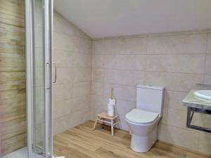 a bathroom with a toilet and a sink at Alojamientos arans in La Cañiza +6 photos