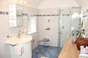 a bathroom with a toilet and a sink and a shower at Ferienwohnung Vorstadt in Gmünd in Kärnten