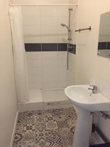 a bathroom with a shower and a sink and a toilet at T2 Côté Jardin in Eysines