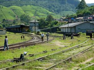 Ospiti di The Train View