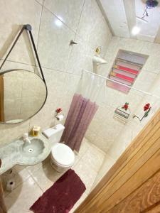 a bathroom with a sink and a toilet and a mirror at Pousada Raízes do Cipó in Serra do Cipo