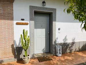 a door to a house with a cactus next to it at Room24 Relax & Wellness in Genzano di Roma