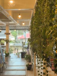 a hallway with plants on the wall of a store at Closca Hostel Koh Tao in Ko Tao