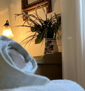 a plant in a vase on a table with a lamp at Aphrodite's Coast Retreat House! in Galaxidi