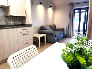 a kitchen and a living room with a couch at Apartamento centro de Puigcerda in Puigcerdà +11 photos