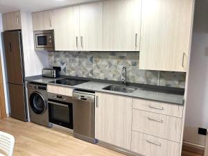a kitchen with a sink and a dishwasher at Apartamento centro de Puigcerda in Puigcerdà
