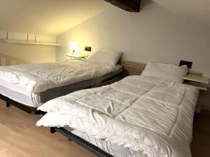 two beds sitting next to each other in a room at Apartamento centro de Puigcerda in Puigcerdà