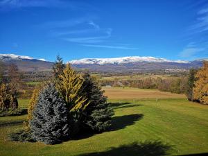 a tree in a field with mountains in the background at Apartamento centro de Puigcerda in Puigcerdà