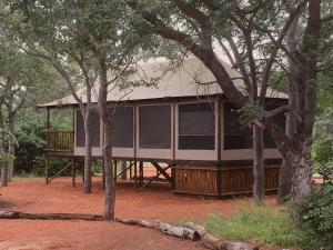 a house in the middle of some trees at Iphofolo Lodge & Tented Camp in Vivo