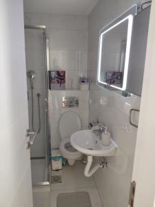a small bathroom with a toilet and a sink at Apartman Hedon in Vrnjačka Banja +13 photos