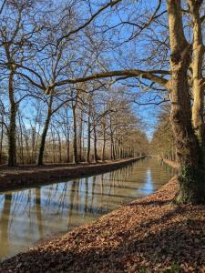 a river with a bunch of trees next to it at Les Chardonnerets in Villemandeur