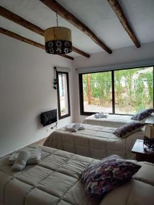 two beds in a room with two windows at Möller Masi in Purmamarca