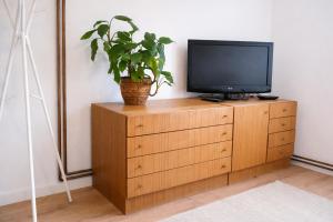 a tv on a wooden dresser with a plant on it at Quiet & Cozy Apartment near Samobor - Terrace, Parking, Close to Zagreb & Tabor in Samobor
