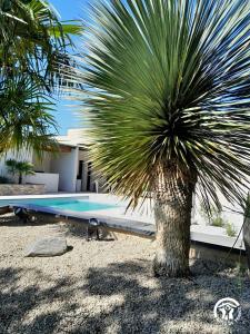 a palm tree in front of a swimming pool at Villa des Oliviers in Flavin