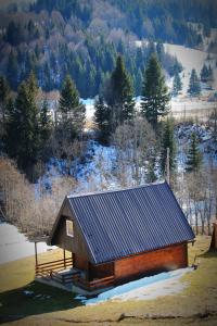 a log cabin with a slate roof in the snow at Mountain House Jelovica in Berane +9 photos
