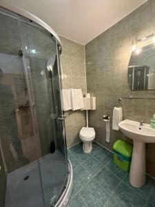 a bathroom with a shower and a toilet and a sink at Popas Mara in Radna