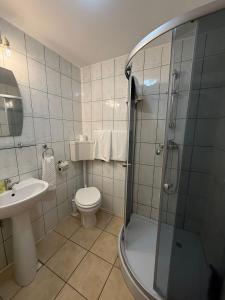 a bathroom with a shower and a toilet and a sink at Popas Mara in Radna