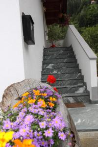 Galeriebild der Unterkunft Plattnerhof in Kals am Großglockner