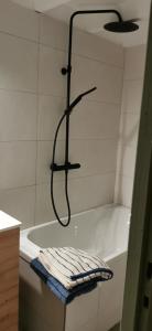 a shower in a bathroom with a bath tub at Chez Ariel et Myrtille in Bruyères +17 photos