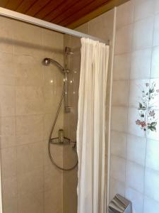 a shower with a shower curtain in a bathroom at Hotel Feuerbacher Hof in Stuttgart +13 photos