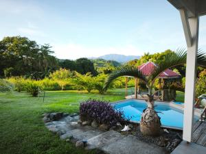 a pool with a palm tree next to a house at Plein Vent in Petit-Bourg