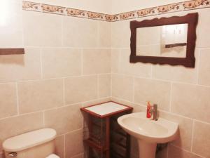 un bagno con lavandino, water e specchio di Hostal Casa Pedro Boquete a Boquete