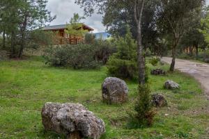 a field with rocks in front of a house at El Llano de los Conejos Serranía de Cuenca in Cañamares
