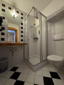 a bathroom with a shower and a toilet and a sink at SleepWell24 in Spittal an der Drau