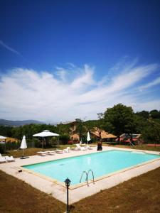 a swimming pool with chairs and umbrellas around it at Da Foschetta in Matelica
