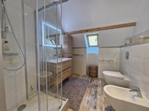 a bathroom with a shower and a toilet and a sink at Les hauts de LOUVIE in Louvie-Soubiron +16 photos
