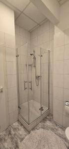 a bathroom with a shower and a toilet at Monteur und Messewohnung in Rodgau