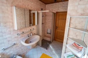 a bathroom with a sink and a shower at Wohnen bei Schörgi in Grein