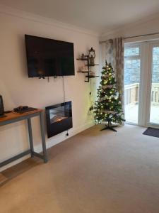a living room with a christmas tree and a television at The Cabin in Carbis Bay