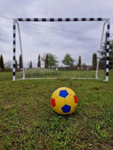 a soccer ball on a field with a goal at Cabana Apus de Soare in Râșca