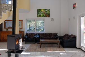 a living room with a couch and a fireplace at Villa Vinko in Donje Raštane