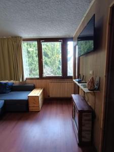 a living room with a couch and a tv at Marilleva 1400 - Alpine Apartment in Marilleva