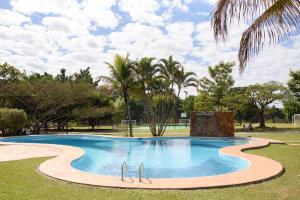 a swimming pool in a park with palm trees at Pousada Corujas in Cajuru do Sul
