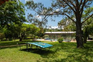 a ping pong table in the grass next to a tree at Pousada Corujas in Cajuru do Sul