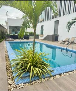 a swimming pool with a palm tree next to a building at Belrose Place in Accra