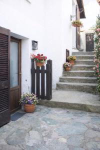 a building with potted plants and stairs with a door at Jolie Maison in Châtillon