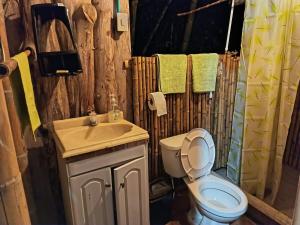 a bathroom with a toilet and a sink at Rústico y Natural in Estación El Salto +4 photos