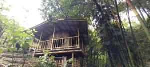 a tree house in the middle of the forest at Rústico y Natural in Estación El Salto
